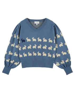 Pullovers Lapin